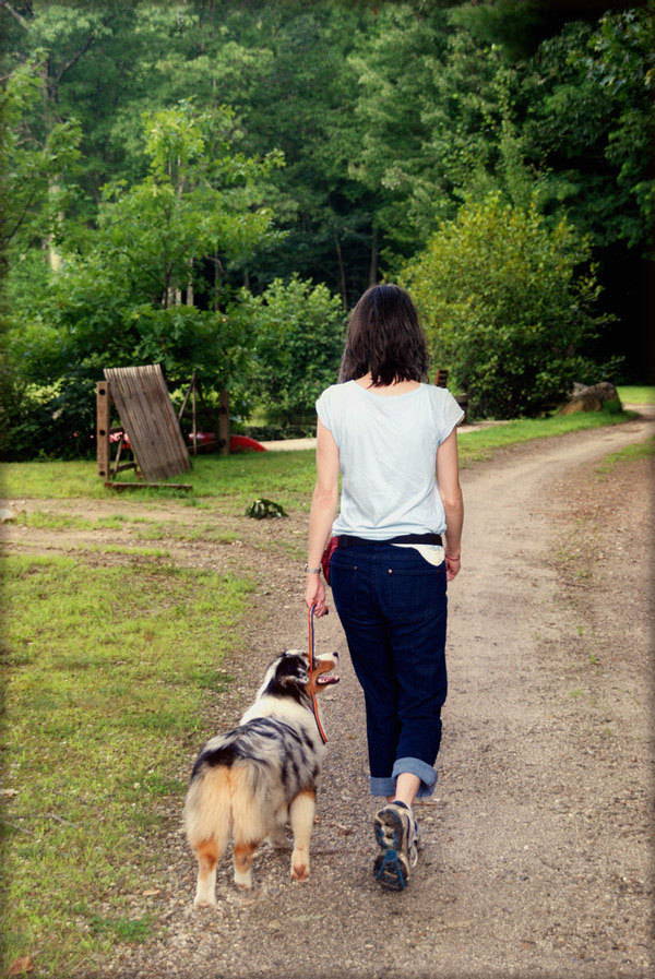 obedience-dog